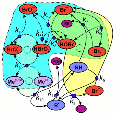 Belousov-Zhabotinsky Reaction